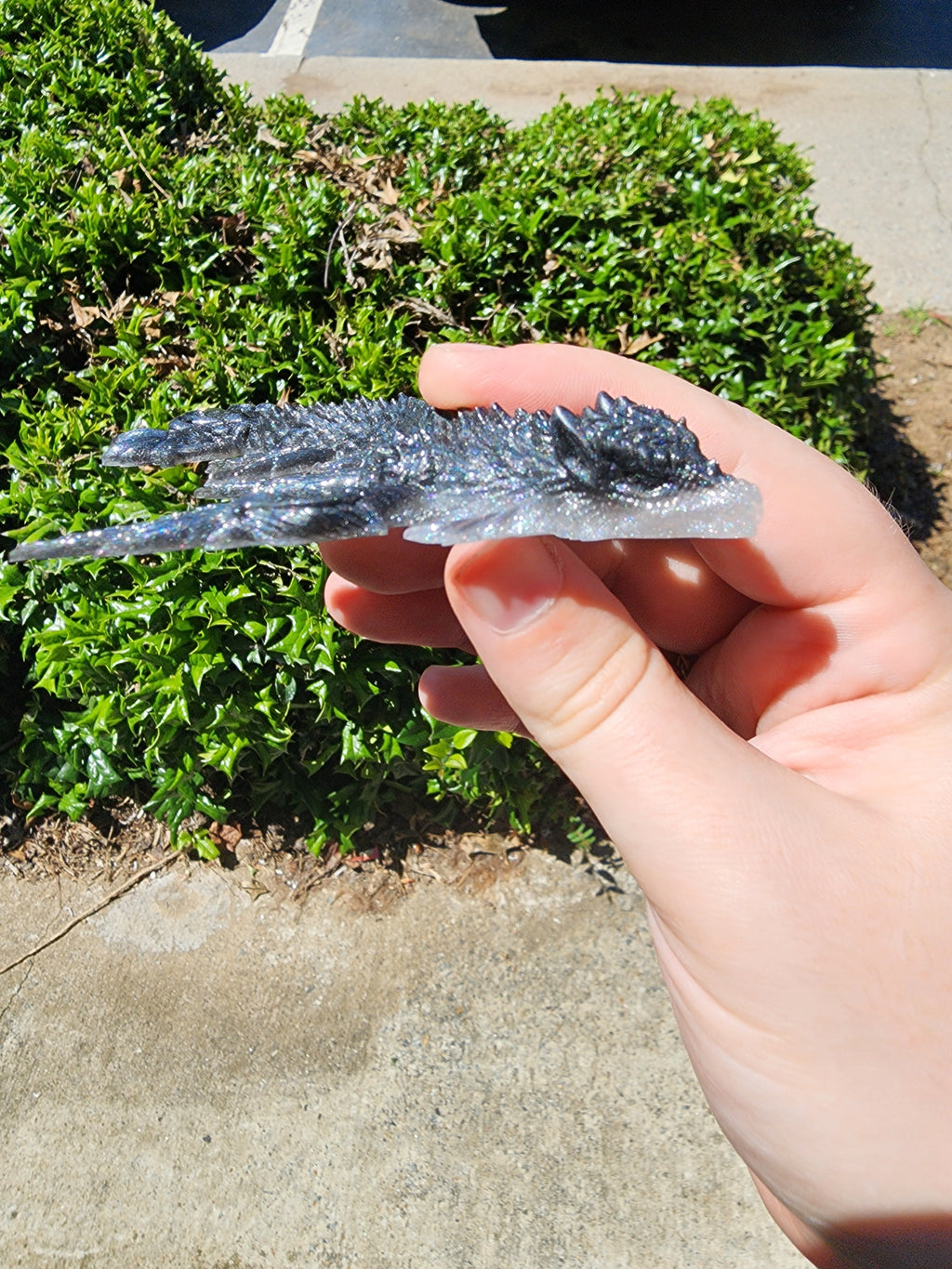 Black and Silver Dragon