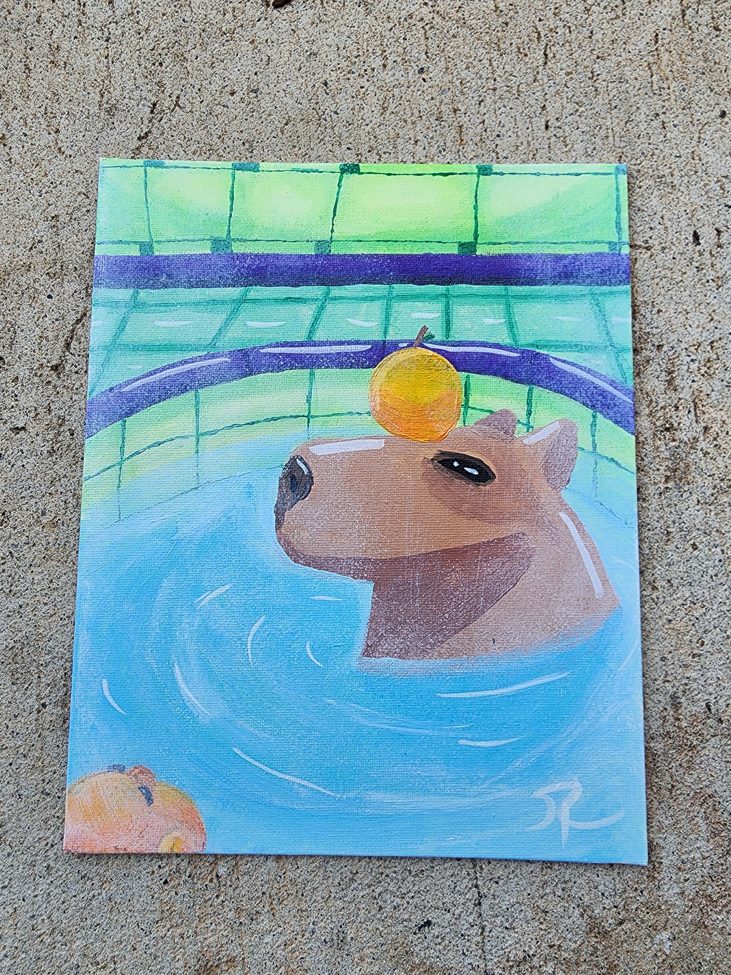 Capybara in a Bath House